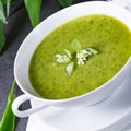 Wild garlic soup Royalty Free Stock Photo