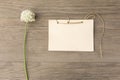 Wild garlic white flower with handmade craft notebook on old grunge wooden background. Top view. Minimalistic mockup. Royalty Free Stock Photo