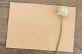 Wild garlic white flowers with craft paper blank on old grunge wooden background. Top view. Minimalistic mockup. Royalty Free Stock Photo