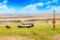 Wild giraffe and wildebeest near safari car in Masai Mara National Park, Kenya. Safari concept. African travel landscape Royalty Free Stock Photo