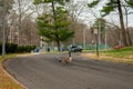 A Goose Crossing the Road in a Park in Suburban Pennsylvania Royalty Free Stock Photo