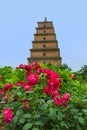 Wild Goose Pagoda - Xian China Royalty Free Stock Photo