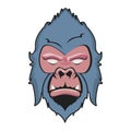 wild gorilla animal head blue and pink colors