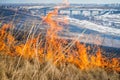 Wild grass on fire Royalty Free Stock Photo