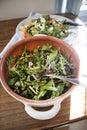 Wild grass salad