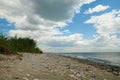 Wild grass at sea coast - beautiful summer landscape Royalty Free Stock Photo