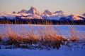 Wild Grass Weeds Sunset Tetons Teton Mountains in Background Beautiful Royalty Free Stock Photo