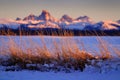 Wild Grass Weeds Sunset Tetons Teton Mountains in Background Beautiful Royalty Free Stock Photo