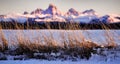 Wild Grass Weeds Sunset Tetons Teton Mountains in Background Beautiful Royalty Free Stock Photo