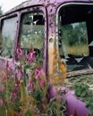 Wild grasses and purple foxglove have overtaken a brokendown armored truck the vibrant foliage visible through Abandoned