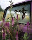 Wild grasses and purple foxglove have overtaken a brokendown armored truck the vibrant foliage visible through Abandoned