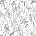 Wild grasses seamless pattern vector Royalty Free Stock Photo