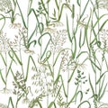 Wild grasses seamless pattern vector Royalty Free Stock Photo
