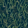 Wild grasses seamless pattern vector Royalty Free Stock Photo
