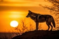 Wild Gray wolf walking in the forest at sunset with Giant sunset in the background. Amazing wildlife. Generative Ai Royalty Free Stock Photo
