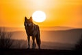 Wild Gray wolf walking in the forest at sunset with Giant sunset in the background. Amazing wildlife. Generative Ai Royalty Free Stock Photo