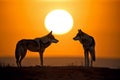 Wild Gray wolves in the forest at sunset with Giant sunset in the background. Amazing wildlife. Generative Ai Royalty Free Stock Photo