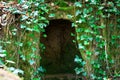 Wild green cave