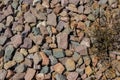 wild green grass grows through grey color of the crushed granite and limestone coarse gravel foreground closeup Royalty Free Stock Photo