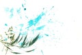 Wild green grass herb ears with hand painted blue watercolor blot spot splash white background. A4 paper size photo with free