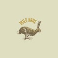 Wild hare or rabbit engraved hand drawn in old sketch style, vintage animals. logo or emblems, retro label and badge.
