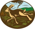 Wild Hare Rabbit Running Oval Woodcut Royalty Free Stock Photo