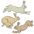 Wild hare running set