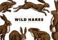 Wild hares background. Rabbits are sitting and jumping. Forest bunny. Hand drawn engraved old sketch for T-shirt, cards