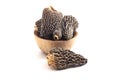 Wild Harvested Morel Mushrooms Trimmed and Dried on a White Background Royalty Free Stock Photo