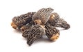 Wild Harvested Morel Mushrooms Trimmed and Dried on a White Background Royalty Free Stock Photo