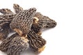 Wild Harvested Morel Mushrooms Trimmed and Dried on a White Background Royalty Free Stock Photo