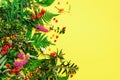 Wild healing herbs on bright yellow background. Alternative medicine concept, holistic approach. Top view, copy space, flat lay