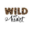 Wild heart - Vector hand drawn leopard lettering phrase. Modern brush calligraphy. Motivation and inspiration quote