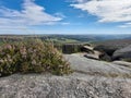 Wild heather on a hilly plateau