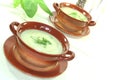 Wild herb soup