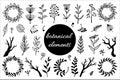 Field herbs, branches, wreaths vector set. Hand-drawn illustration isolated on white background. Plants with berries