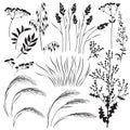 Wild Herbs and Cereals Silhouette Set