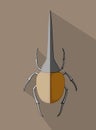 Wild Hercules Beetle Insect