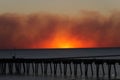 Wild Heron wildfire fills the evening sky during sunset at Panama City Beach Florida.