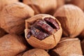 Wild hickory nuts Royalty Free Stock Photo
