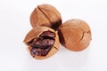 Wild hickory nuts Royalty Free Stock Photo