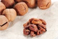 Wild hickory nuts Royalty Free Stock Photo