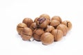 Wild hickory nuts Royalty Free Stock Photo