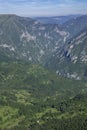 Wild high mountains spruce forest in Durmitor national park Montenegro Royalty Free Stock Photo