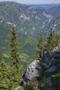 Wild high mountains spruce forest in Durmitor national park Montenegro Royalty Free Stock Photo