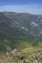 Wild high mountains spruce forest in Durmitor national park Montenegro Royalty Free Stock Photo