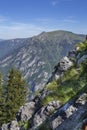 Wild high mountains spruce forest in Durmitor national park Montenegro Royalty Free Stock Photo