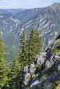 Wild high mountains spruce forest in Durmitor national park Montenegro. Royalty Free Stock Photo