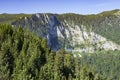 Wild high mountains spruce forest in Durmitor national park Montenegro Royalty Free Stock Photo