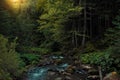 Wild highland deep forest dramatic picturesque landscape scenic view yellow sun shine lighting and rocky river stream Royalty Free Stock Photo